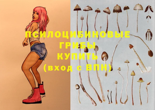 кристаллы Абаза